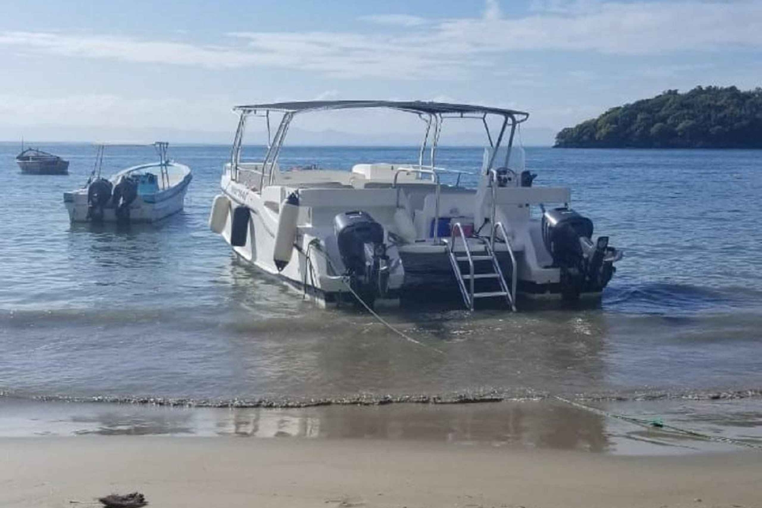 From Puerto Plata: Expedition to Samaná, Bacardi Island, and an Adventure of Your Choice