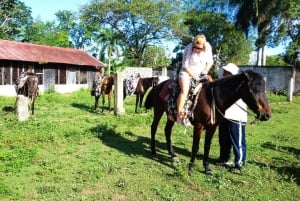 From Puerto Plata: Horseback ride along the mountain river