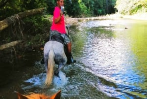 From Puerto Plata: Horseback ride along the mountain river