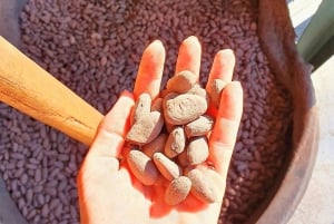 From Puerto Plata Priv: Cocoa, Coffee, Cigars & Local Market