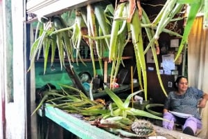 From Puerto Plata Priv: Cocoa, Coffee, Cigars & Local Market