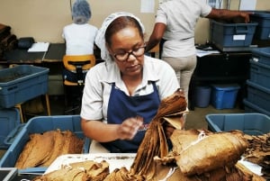 From Puerto Plata Priv: Cocoa, Coffee, Cigars & Local Market