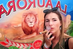 From Puerto Plata Priv: Cocoa, Coffee, Cigars & Local Market