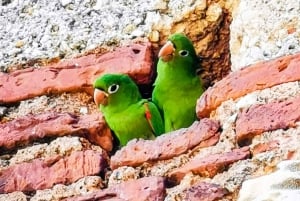 From Puerto Plata: Santo Domingo Complete Visit