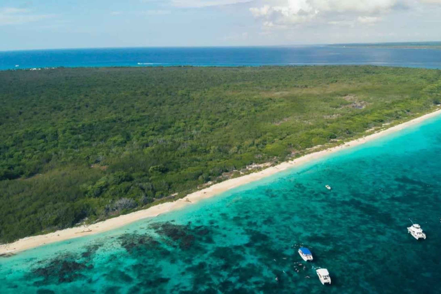 From Punta Cana: Catalina Island Snorkeling Tour