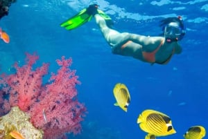 De Punta Cana: nage, voile et plongée avec tuba sur l'île de Catalina