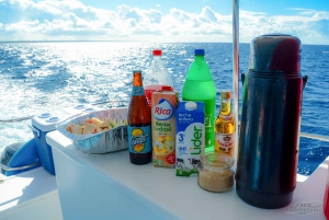 From Punta Cana: Catalina Snorkeling & Altos de Chavon Tour