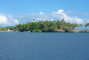 From Punta Cana: Catalina Snorkeling & Altos de Chavon Tour