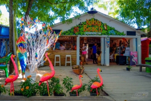 From Punta Cana: Catalina Snorkeling & Altos de Chavon Tour