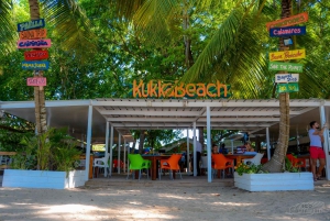 From Punta Cana: Catalina Snorkeling & Altos de Chavon Tour