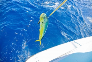 From Punta Cana: Deep Sea Fishing Tour by Boat with Drinks