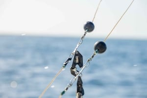 From Punta Cana: Deep Sea Fishing Tour by Boat with Drinks