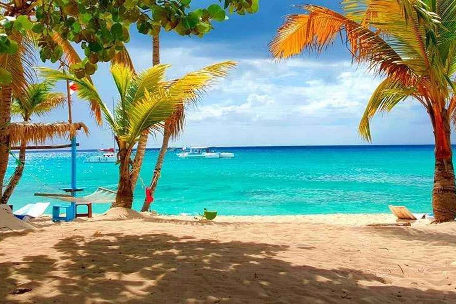 Från Punta Cana: Exklusiv tur till Catalina Island med transport och lunch