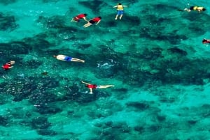 Från Punta Cana: Exklusiv tur till Catalina Island med transport och lunch