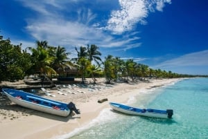 Från Punta Cana: Exklusiv tur till Catalina Island med transport och lunch