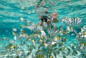 Från Punta Cana: Exklusiv tur till Catalina Island med transport och lunch