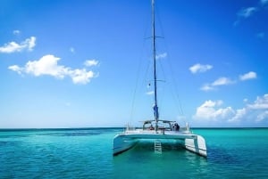 Från Punta Cana: Exklusiv tur till Catalina Island med transport och lunch