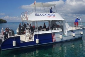 Från Punta Cana: Exklusiv tur till Catalina Island med transport och lunch