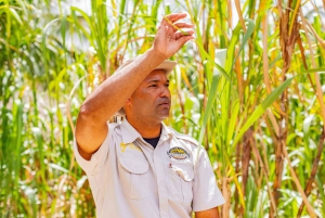 From Punta Cana: Full-Day Island Tour with Lunch