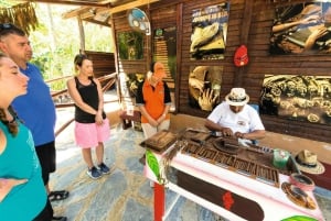 Depuis Punta Cana : Visite d'une jounée de l'île avec déjeuner