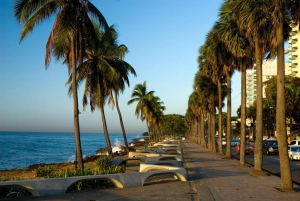Desde Punta Cana: Excursión de un día por la ciudad de Santo Domingo