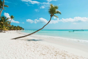 From Punta Cana: Full-Day Saona Island Excursion