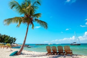 Explora a Ilha Saona: Piscina natural, almoço e bar aberto