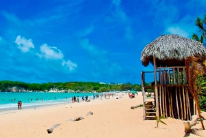 From Punta Cana: Half-Day Dominican Republic Cultural Tour
