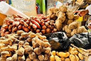 Punta Cana: Immersive Coffee, Cocoa & Culture Tour + Lunch