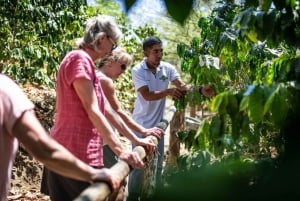 Depuis Punta Cana : excursion d'une journée à Higüey et à la rivière Anamuya