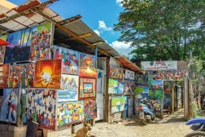 Depuis Punta Cana : excursion d'une journée à Higüey et à la rivière Anamuya