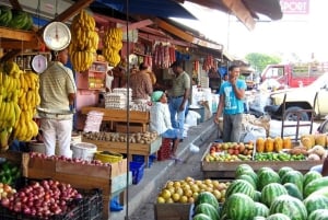Depuis Punta Cana : excursion d'une journée à Higüey et à la rivière Anamuya