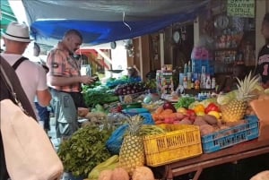 Depuis Punta Cana : excursion d'une journée à Higüey et à la rivière Anamuya