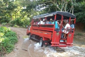 Depuis Punta Cana : excursion d'une journée à Higüey et à la rivière Anamuya