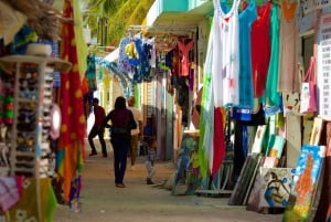 From Punta Cana: Higuey and Shopping Tour