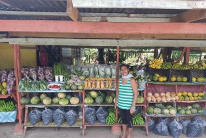 From Punta Cana: Higuey Expedition Cultural & Historic Tour