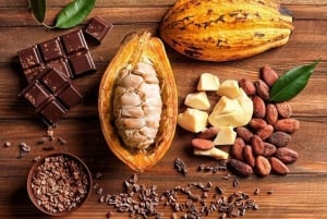 From Punta Cana: Higuey Expedition Cultural & Historic Tour