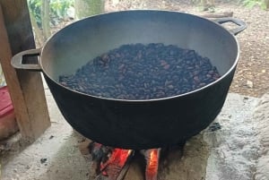 From Punta Cana: Higuey Expedition Cultural & Historic Tour