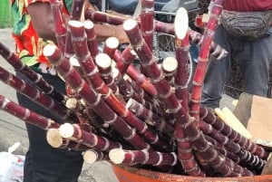 From Punta Cana: Higuey Expedition Cultural & Historic Tour