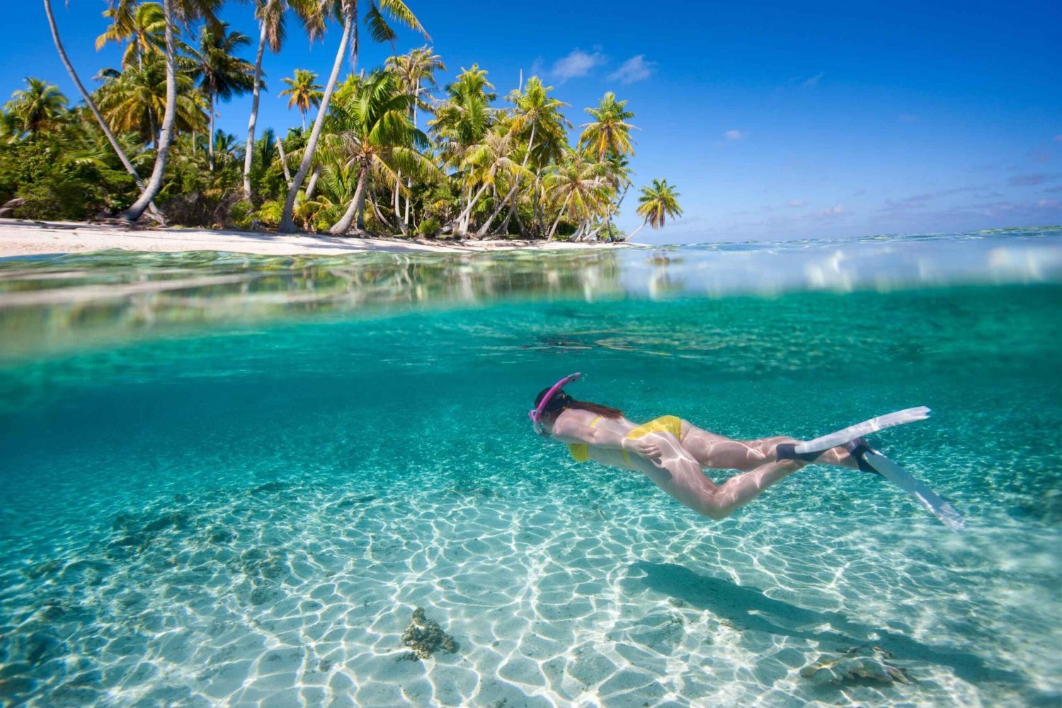 Vanuit Punta Cana: Isla Saona dagvullende tour met lunchbuffet