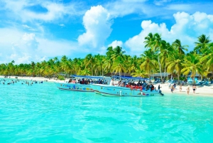 Ab Punta Cana: Ganztagestour zur Isla Saona mit Mittagsbuffet