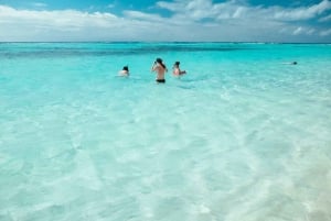 Depuis Punta Cana : excursion sur l'île Saona avec déjeuner et boissons