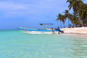 Depuis Punta Cana : excursion sur l'île Saona avec déjeuner et boissons