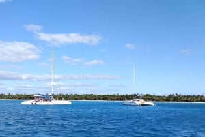 Depuis Punta Cana : excursion sur l'île Saona avec déjeuner et boissons