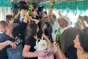 From Punta Cana: Isla Saona Trip with Lunch & Drinks