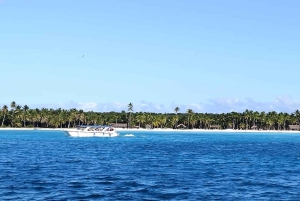 From Punta Cana: Isla Saona Trip with Lunch & Drinks