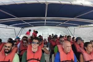 From Punta Cana: Isla Saona Trip with Lunch & Drinks