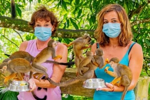 From Punta Cana: Jungle Buggy Ride & Monkeyland Guided Tour