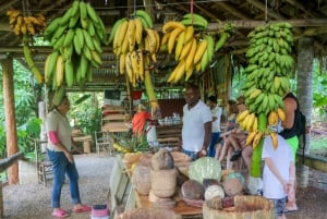 Fra Punta Cana: Los Haitises og Redonda Mountain Day Trip