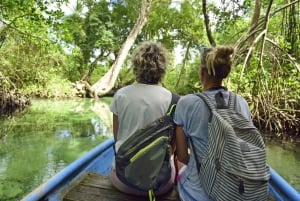 De Punta Cana: excursion en bateau privé Los Haitises et Caño Hondo